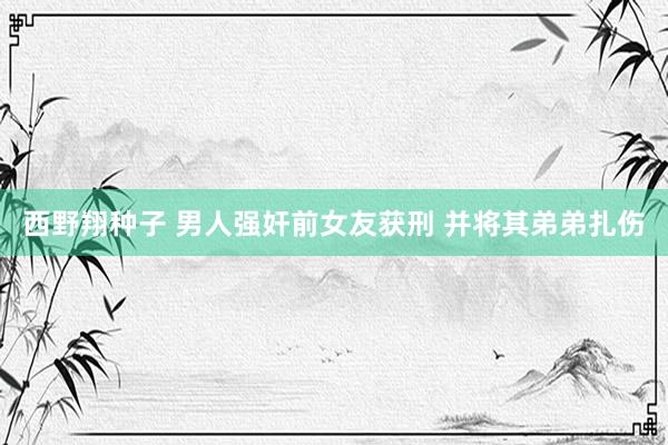 西野翔种子 男人强奸前女友获刑 并将其弟弟扎伤