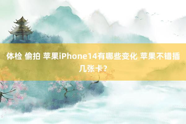 体检 偷拍 苹果iPhone14有哪些变化 苹果不错插几张卡？