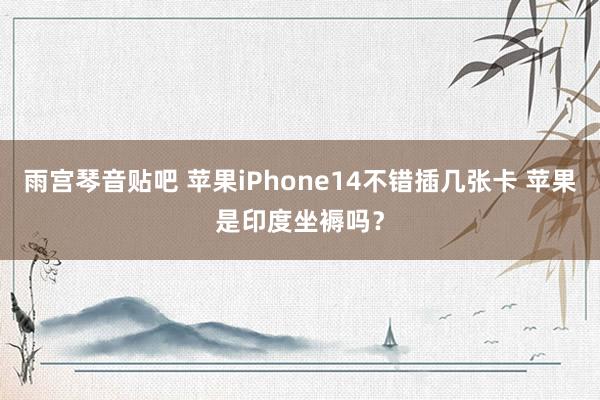 雨宫琴音贴吧 苹果iPhone14不错插几张卡 苹果是印度坐褥吗？