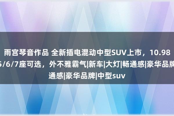 雨宫琴音作品 全新插电混动中型SUV上市，10.98万起售，5/6/7座可选，外不雅霸气|新车|大灯|畅通感|豪华品牌|中型suv
