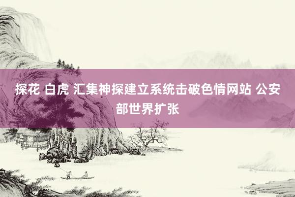 探花 白虎 汇集神探建立系统击破色情网站 公安部世界扩张