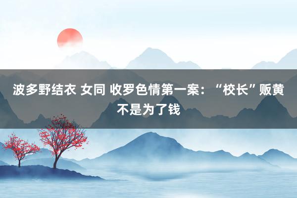 波多野结衣 女同 收罗色情第一案：“校长”贩黄不是为了钱