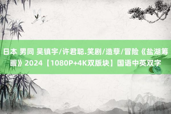 日本 男同 吴镇宇/许君聪.笑剧/造孽/冒险《盐湖筹画》2024【1080P+4K双版块】国语中英双字