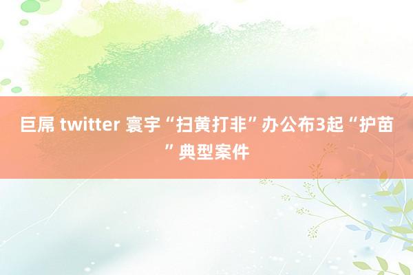 巨屌 twitter 寰宇“扫黄打非”办公布3起“护苗”典型案件