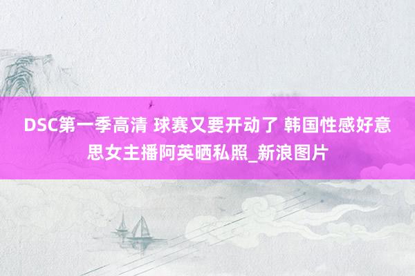 DSC第一季高清 球赛又要开动了 韩国性感好意思女主播阿英晒私照_新浪图片