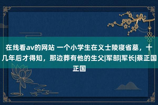 在线看av的网站 一个小学生在义士陵寝省墓，十几年后才得知，那边葬有他的生父|军部|军长|蔡正国