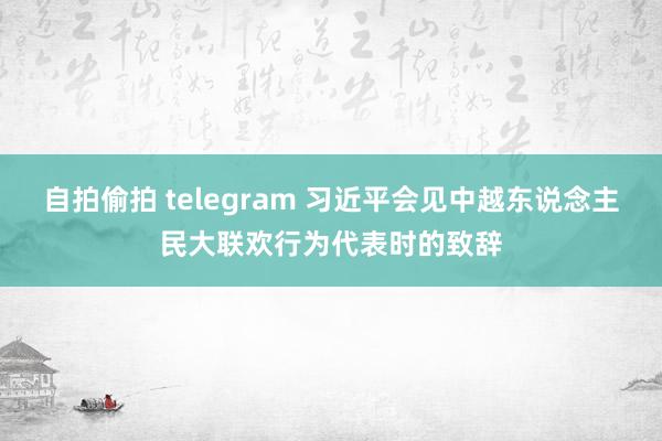 自拍偷拍 telegram 习近平会见中越东说念主民大联欢行为代表时的致辞