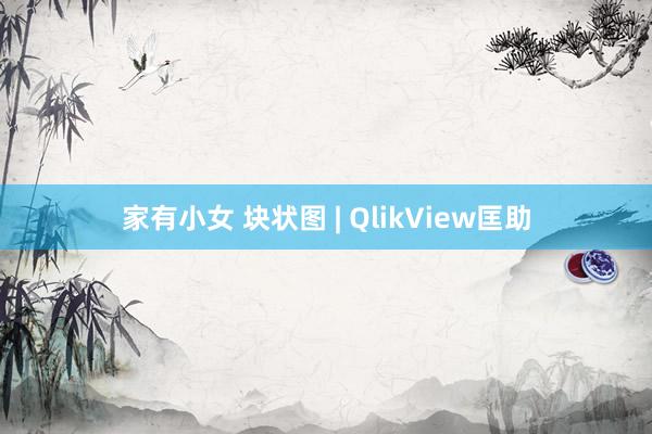 家有小女 块状图 | QlikView匡助