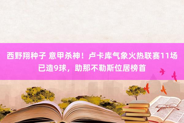 西野翔种子 意甲杀神！卢卡库气象火热联赛11场已造9球，助那不勒斯位居榜首